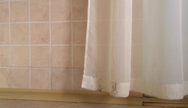 Best Biohazard Mold Removal  in Cornville, AZ